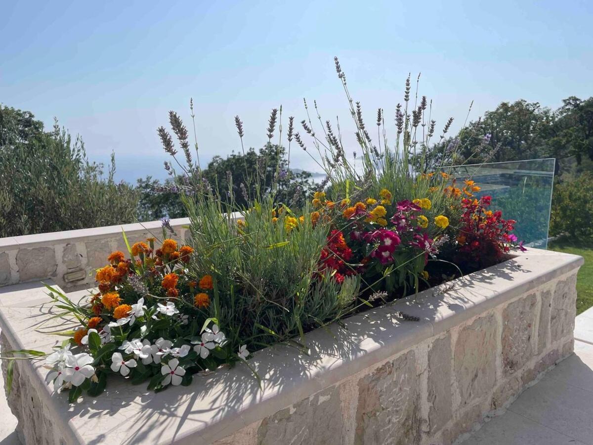 Luxury Villa In Montenegro Пржно Экстерьер фото