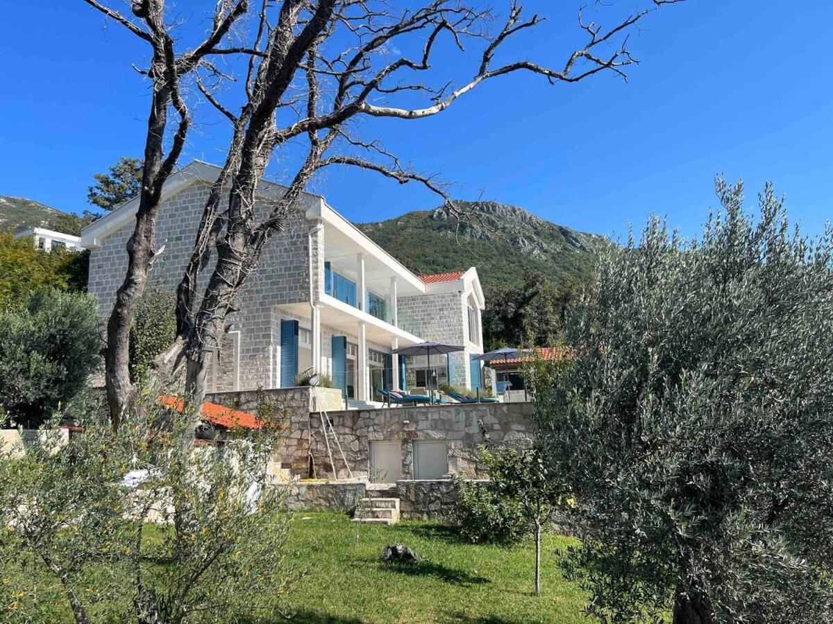 Luxury Villa In Montenegro Пржно Экстерьер фото